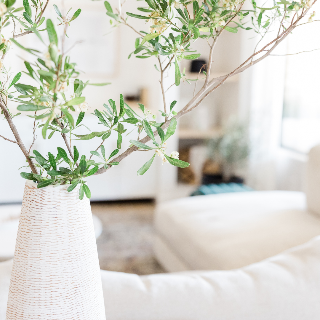 8 1 Downsizing Your Sydney Home: 10 Surprising Benefits of Downsizing