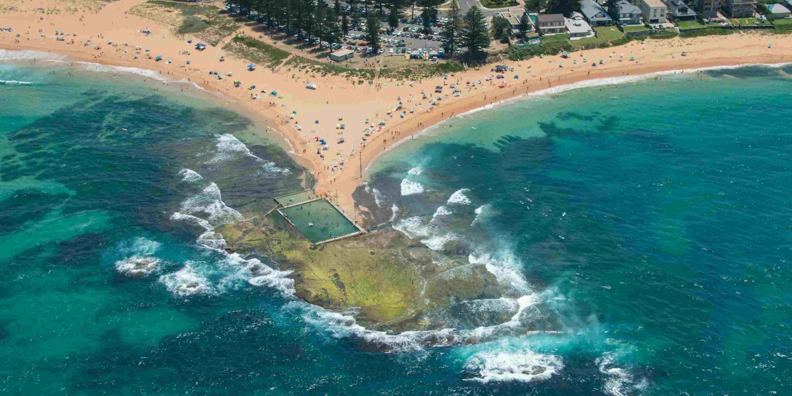 Green Minimalist Save The Forest Medium Banner 5 scaled When Should I Sell My House in Sydney? How to Prepare It for a Successful Sale